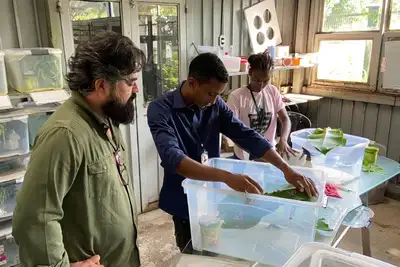 notícia: Profissionais de Luanda iniciam imersão no Mangal das Garças e fortalecem cooperação científica entre Belém e Angola