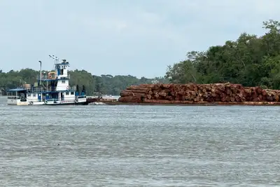 notícia: Operação na malha fluvial de Óbidos apreende 586 metros cúbicos de madeira ilegal
