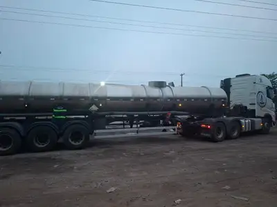 notícia: Secretaria da Fazenda (Sefa) apreende gado e 28 toneladas de sulfato de alumínio