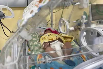 notícia: Primeiros bebês são acolhidos na nova UTI Neonatal do Hospital Geral de Tailândia