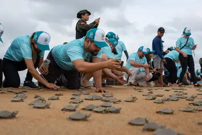 notícia: Soltura de quelônios no Rio Xingu emociona e reforça compromisso com o meio ambiente