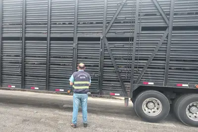 notícia: Sefa apreende 165 cabeças de gado e carga de móveis durante fiscalizações no nordeste do Pará