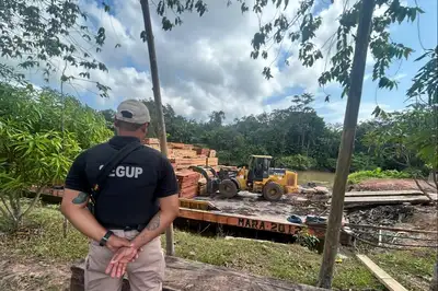 notícia: Operação integrada apreende 856,70 m³ de madeira serrada