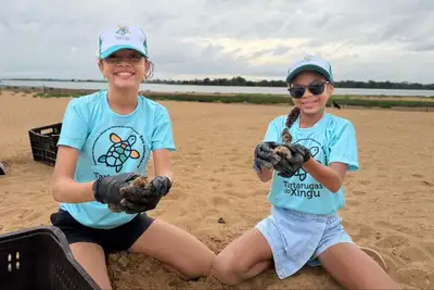 notícia: Soltura de 1,8 mil quelônios no Tabuleiro do Embaubal reforça proteção à biodiversidade