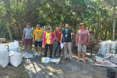 notícia: Agricultores de Nova Esperança do Piriá comemoram lucro com plantio de malva