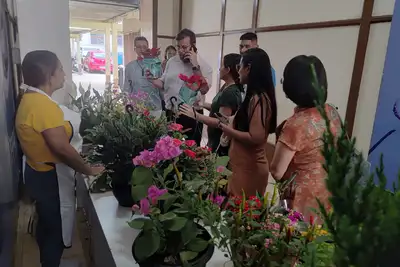 notícia: Feira da Emater tem opção de presentes amazônicos para Natal e Ano Novo 