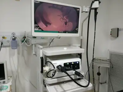notícia: Estado entrega moderna torre de vídeo endoscopia ao Hospital Jean Bitar