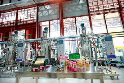 notícia: Pará fecha 2025 com queda histórica no desmatamento e ênfase na bioeconomia