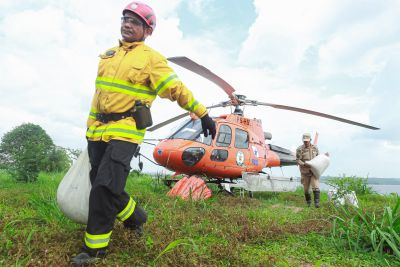 notícia: Governo do Estado realiza operação inédita para recuperar áreas afetadas por incêndios florestais no Pará