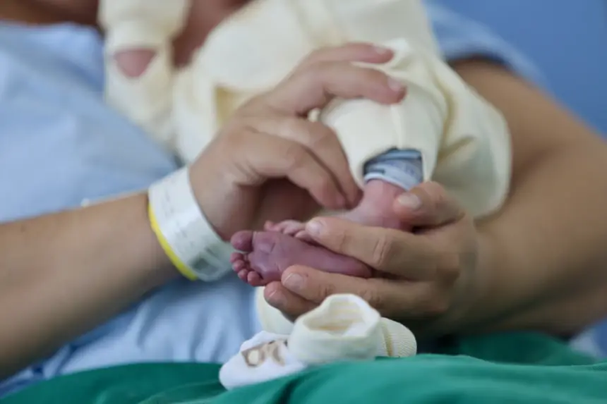  <div class='credito_fotos'>Foto: Bruno Cruz / Ag. Pará &nbsp;&nbsp;|&nbsp;&nbsp; <a href='/midias/2026/originais/20260101105548-GF00025996-F00481786.jpg' download><i class='fa-solid fa-download'></i> Download</a></div>