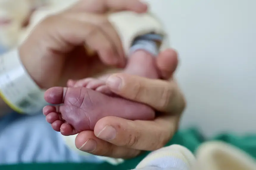  <div class='credito_fotos'>Foto: Bruno Cruz / Ag. Pará &nbsp;&nbsp;|&nbsp;&nbsp; <a href='/midias/2026/originais/20260101111101-GF00025996-F00481801.jpg' download><i class='fa-solid fa-download'></i> Download</a></div>