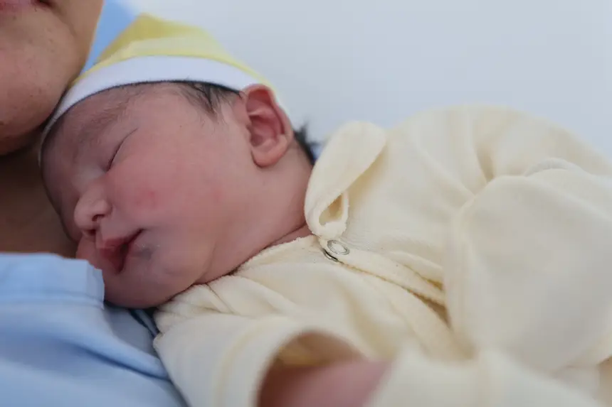  <div class='credito_fotos'>Foto: Bruno Cruz / Ag. Pará &nbsp;&nbsp;|&nbsp;&nbsp; <a href='/midias/2026/originais/20260101111113-GF00025996-F00481806.jpg' download><i class='fa-solid fa-download'></i> Download</a></div>