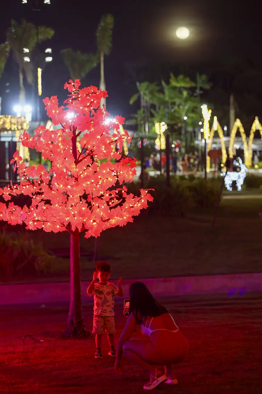  <div class='credito_fotos'>Foto: Bruno Cecim / Ag. Pará &nbsp;&nbsp;|&nbsp;&nbsp; <a href='/midias/2026/originais/20260104210852-GF00026009-F00482223.jpg' download><i class='fa-solid fa-download'></i> Download</a></div>