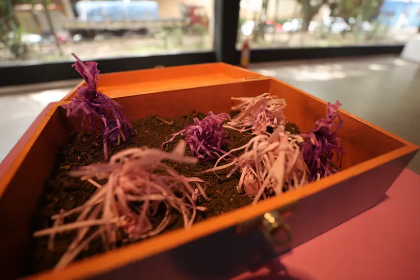  <div class='credito_fotos'>Foto: Bruno Cruz / Ag. Pará &nbsp;&nbsp;|&nbsp;&nbsp; <a href='/midias/2026/originais/20260107123931-GF00026017-F00482404.jpg' download><i class='fa-solid fa-download'></i> Download</a></div>