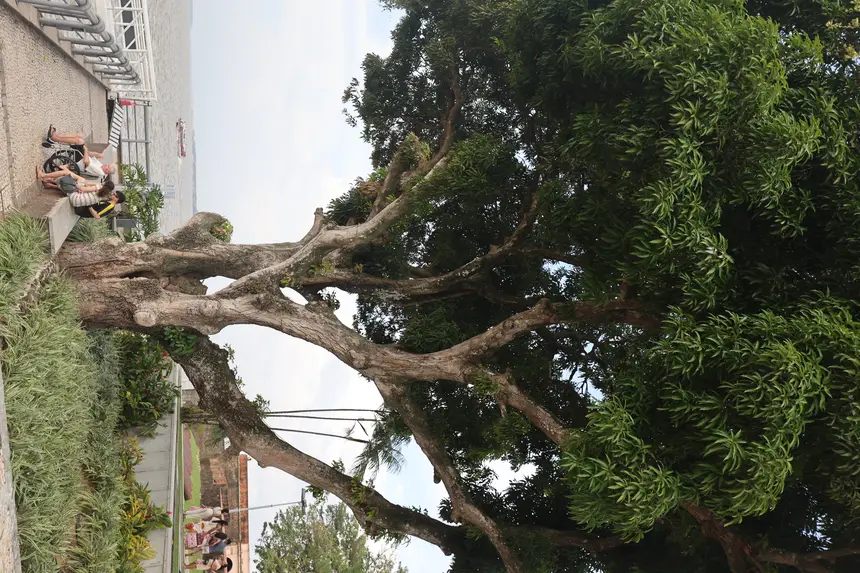  <div class='credito_fotos'>Foto: Bruno Cecim / Ag. Pará &nbsp;&nbsp;|&nbsp;&nbsp; <a href='/midias/2026/originais/20260107175534-GF00026022-F00482685.jpg' download><i class='fa-solid fa-download'></i> Download</a></div>