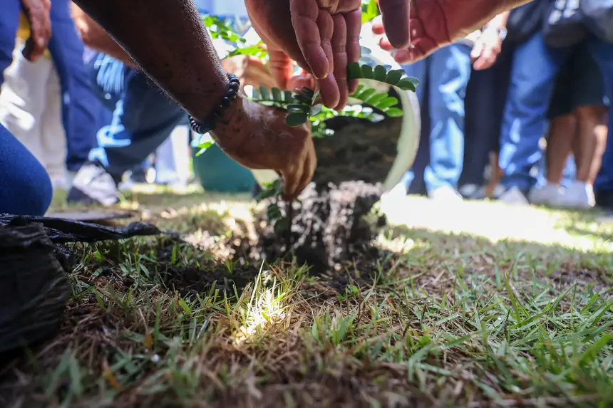  <div class='credito_fotos'>Foto: Bruno Cruz / Ag. Pará &nbsp;&nbsp;|&nbsp;&nbsp; <a href='/midias/2026/originais/20260116124946-GF00026073-F00484871.jpg' download><i class='fa-solid fa-download'></i> Download</a></div>