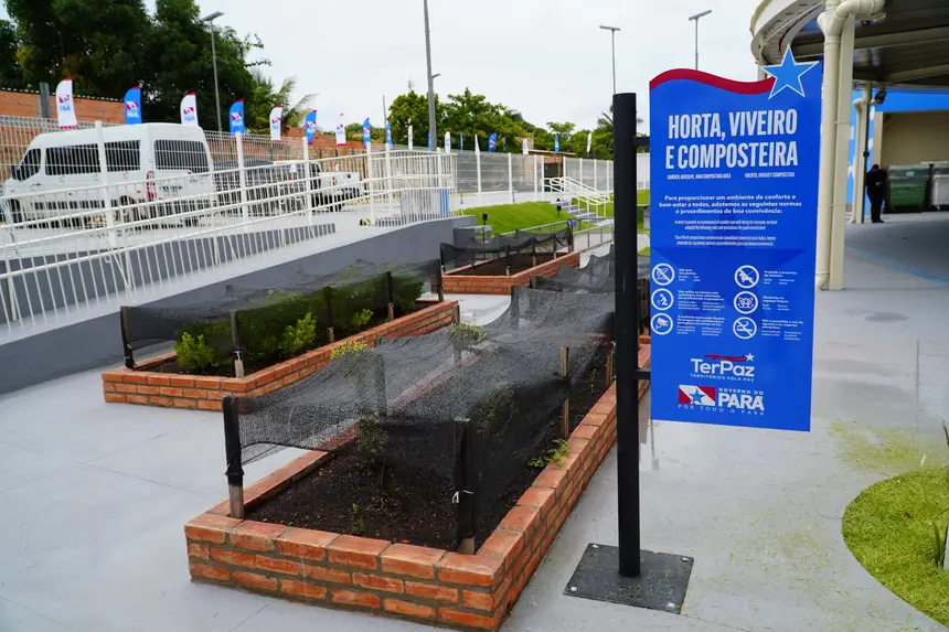  <div class='credito_fotos'>Foto: Diego Garcia / Ag. Pará &nbsp;&nbsp;|&nbsp;&nbsp; <a href='/midias/2026/originais/20260119140157-GF00026094-F00485631.jpg' download><i class='fa-solid fa-download'></i> Download</a></div>