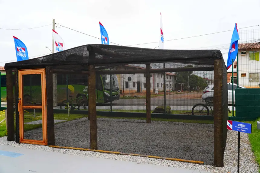  <div class='credito_fotos'>Foto: Diego Garcia / Ag. Pará &nbsp;&nbsp;|&nbsp;&nbsp; <a href='/midias/2026/originais/20260119140159-GF00026094-F00485632.jpg' download><i class='fa-solid fa-download'></i> Download</a></div>