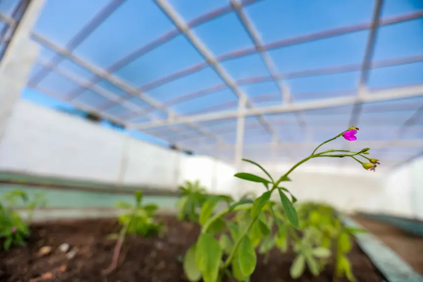  <div class='credito_fotos'>Foto: Marcelo Lelis / Ag. Pará &nbsp;&nbsp;|&nbsp;&nbsp; <a href='/midias/2026/originais/20260120094820-GF00026097-F00485673.jpg' download><i class='fa-solid fa-download'></i> Download</a></div>