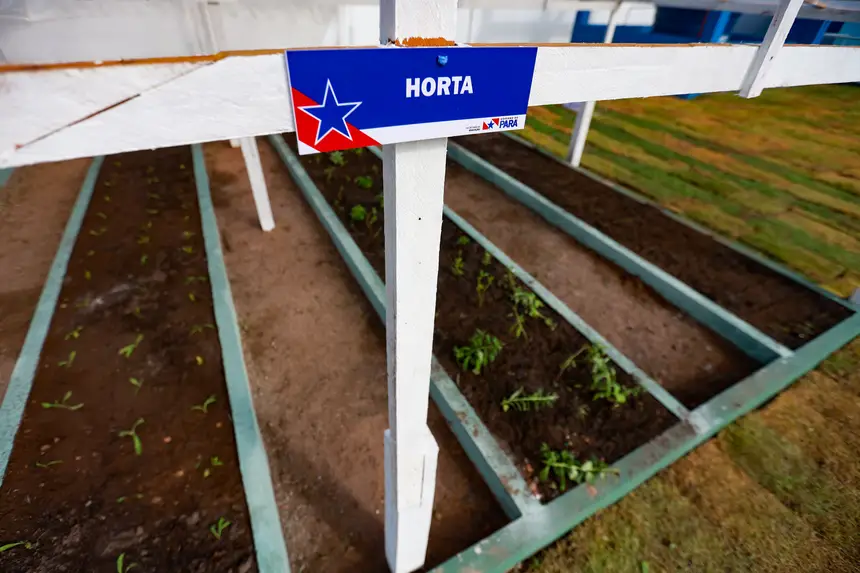  <div class='credito_fotos'>Foto: Marcelo Lelis / Ag. Pará &nbsp;&nbsp;|&nbsp;&nbsp; <a href='/midias/2026/originais/20260120103616-GF00026097-F00485697.jpg' download><i class='fa-solid fa-download'></i> Download</a></div>