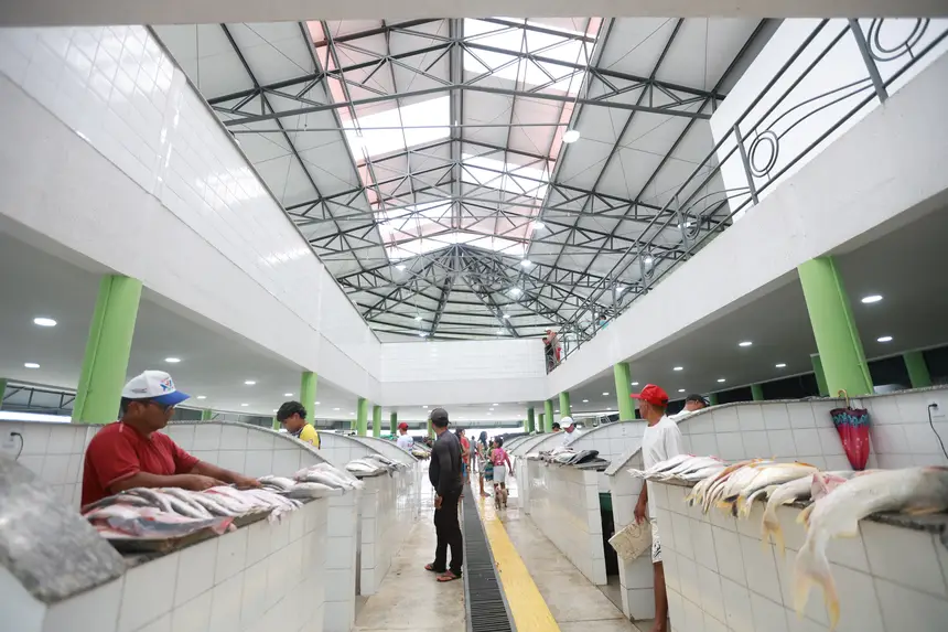  <div class='credito_fotos'>Foto: Marcelo Lelis / Ag. Pará &nbsp;&nbsp;|&nbsp;&nbsp; <a href='/midias/2026/originais/20260122100641-GF00026113-F00486194.jpg' download><i class='fa-solid fa-download'></i> Download</a></div>