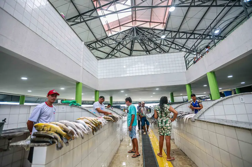  <div class='credito_fotos'>Foto: Marcelo Lelis / Ag. Pará &nbsp;&nbsp;|&nbsp;&nbsp; <a href='/midias/2026/originais/20260122104452-GF00026113-F00486219.jpg' download><i class='fa-solid fa-download'></i> Download</a></div>