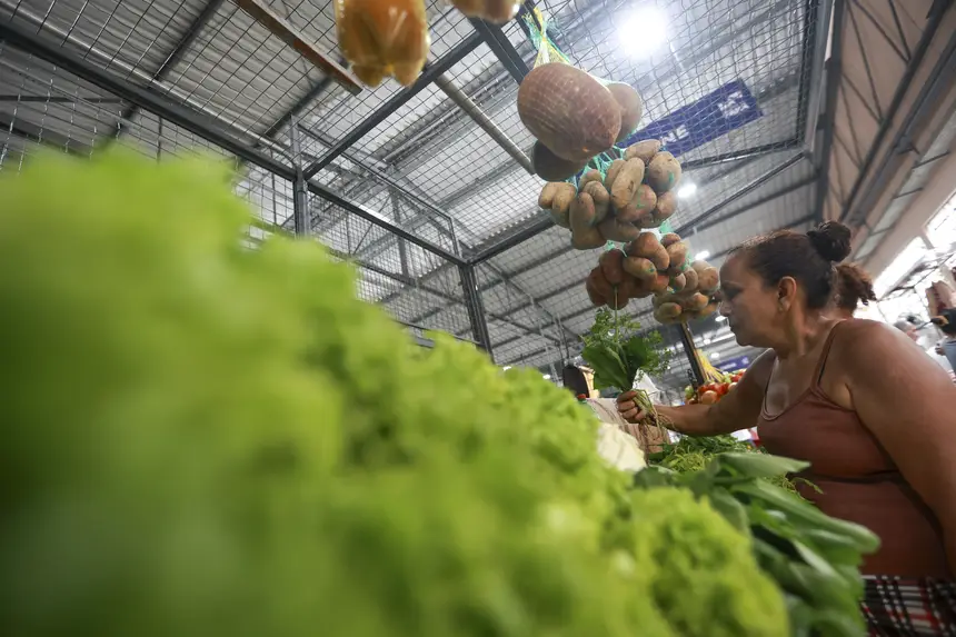  <div class='credito_fotos'>Foto: Marcelo Lelis / Ag. Pará &nbsp;&nbsp;|&nbsp;&nbsp; <a href='/midias/2026/originais/20260124130050-GF00026136-F00486850.jpg' download><i class='fa-solid fa-download'></i> Download</a></div>