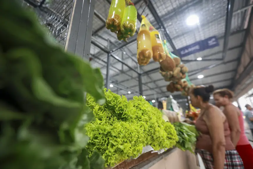  <div class='credito_fotos'>Foto: Marcelo Lelis / Ag. Pará &nbsp;&nbsp;|&nbsp;&nbsp; <a href='/midias/2026/originais/20260124130055-GF00026136-F00486853.jpg' download><i class='fa-solid fa-download'></i> Download</a></div>