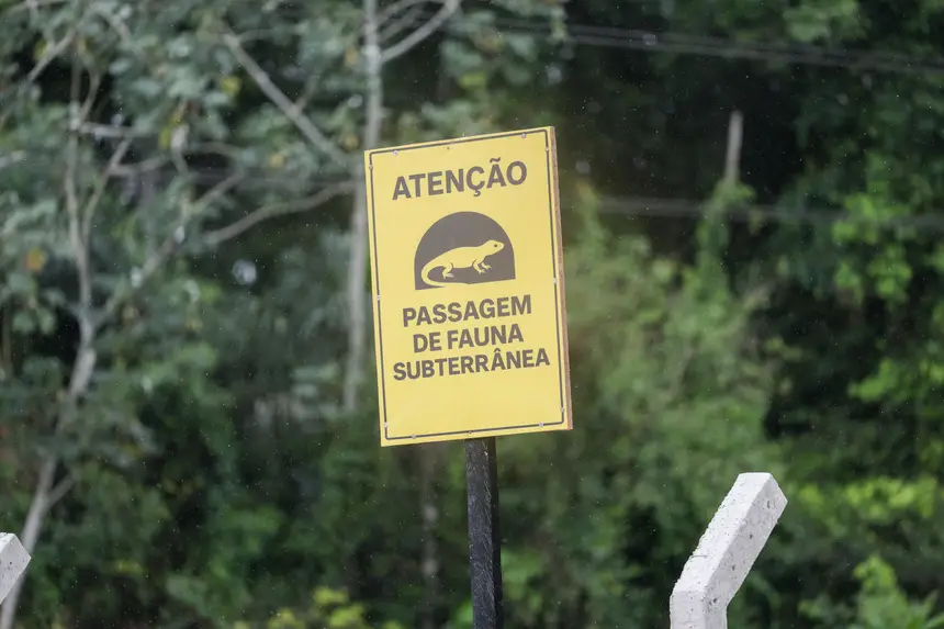  <div class='credito_fotos'>Foto: Pedro Guerreiro / Ag. Pará &nbsp;&nbsp;|&nbsp;&nbsp; <a href='/midias/2026/originais/20260212122155-GF00026266-F00490486.jpg' download><i class='fa-solid fa-download'></i> Download</a></div>