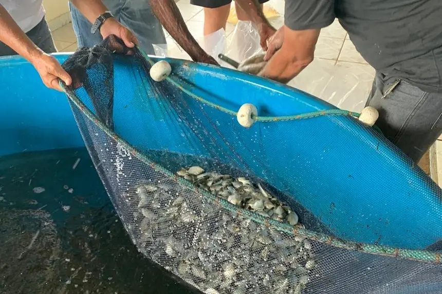 Sedap trabalha para fortalecer a aquicultura em todo o Estado