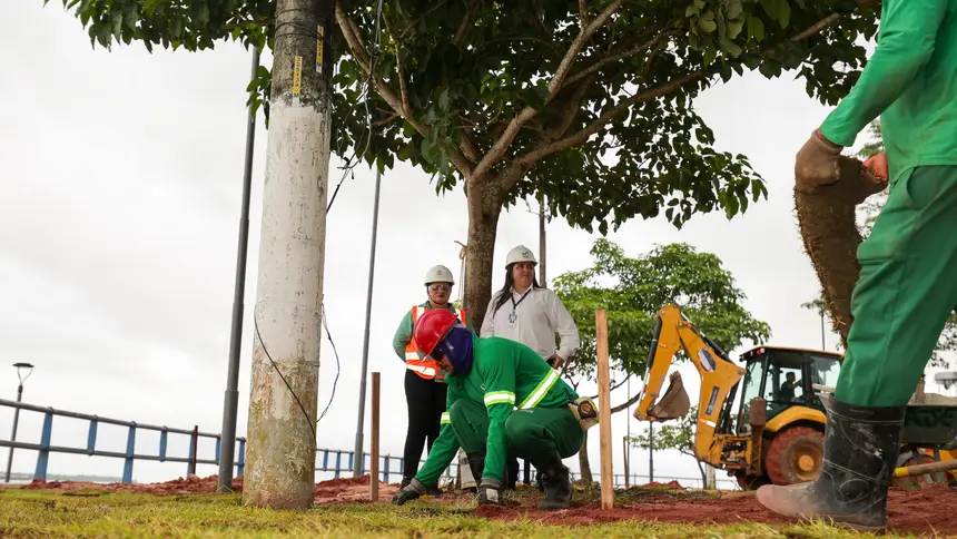  <div class='credito_fotos'>Foto: Bruno Cruz / Ag. Pará &nbsp;&nbsp;|&nbsp;&nbsp; <a href='/midias/2026/originais/20260304120904-GF00026417-F00495126.jpg' download><i class='fa-solid fa-download'></i> Download</a></div>