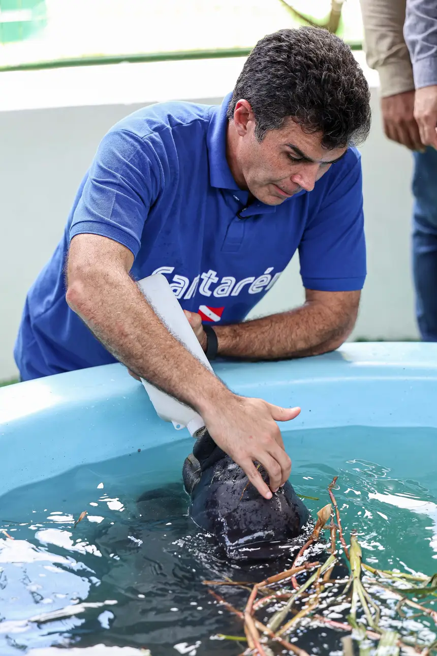  <div class='credito_fotos'>Foto: Marco Santos / Ag. Pará &nbsp;&nbsp;|&nbsp;&nbsp; <a href='/midias/2026/originais/20260324153723-GF00026636-F00503062.jpg' download><i class='fa-solid fa-download'></i> Download</a></div>