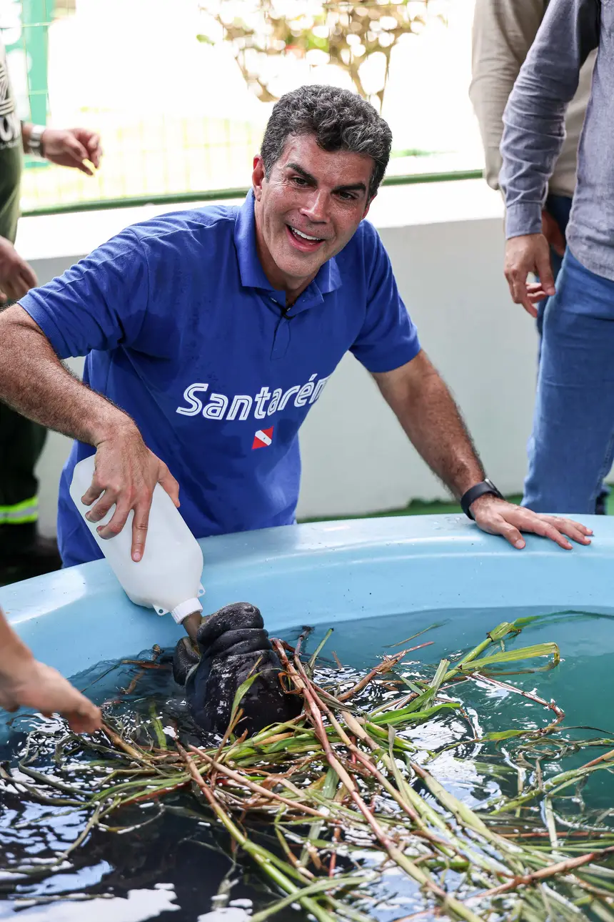  <div class='credito_fotos'>Foto: Marco Santos / Ag. Pará &nbsp;&nbsp;|&nbsp;&nbsp; <a href='/midias/2026/originais/20260324153726-GF00026636-F00503063.jpg' download><i class='fa-solid fa-download'></i> Download</a></div>