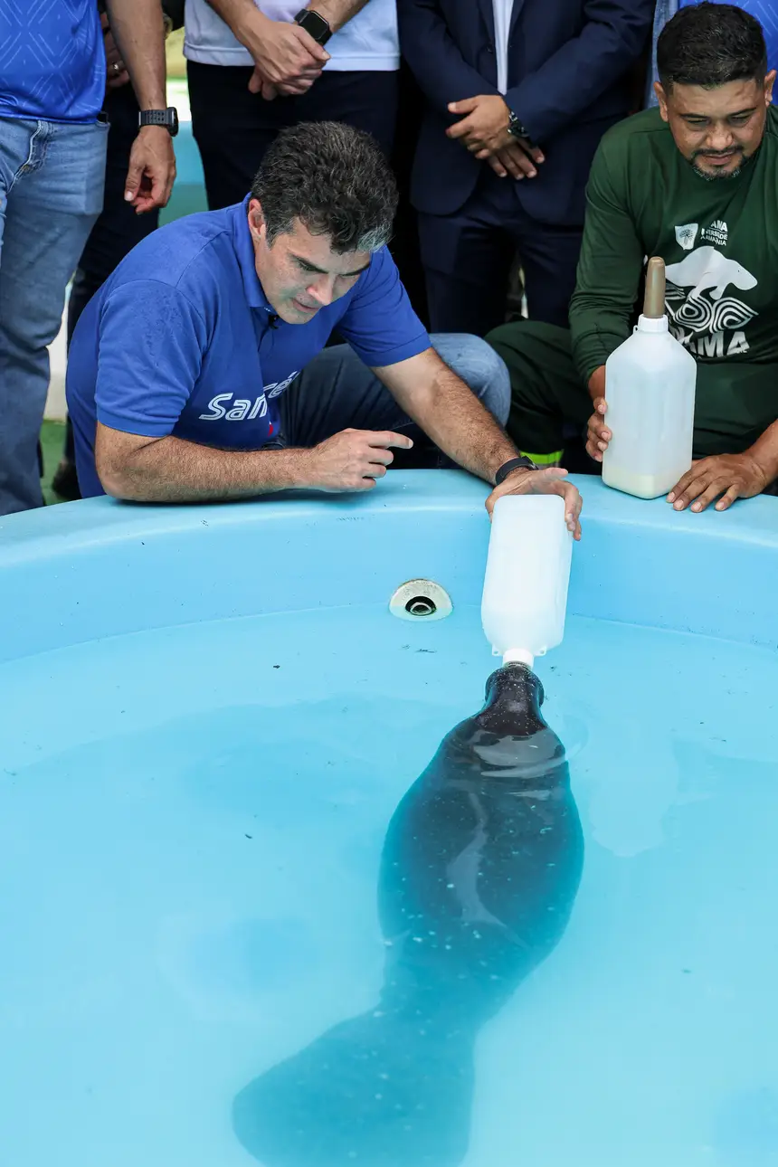  <div class='credito_fotos'>Foto: Marco Santos / Ag. Pará &nbsp;&nbsp;|&nbsp;&nbsp; <a href='/midias/2026/originais/20260324153735-GF00026636-F00503066.jpg' download><i class='fa-solid fa-download'></i> Download</a></div>