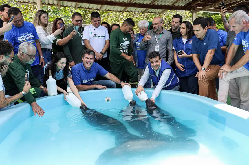  <div class='credito_fotos'>Foto: Marco Santos / Ag. Pará &nbsp;&nbsp;|&nbsp;&nbsp; <a href='/midias/2026/originais/20260324153743-GF00026636-F00503069.jpg' download><i class='fa-solid fa-download'></i> Download</a></div>