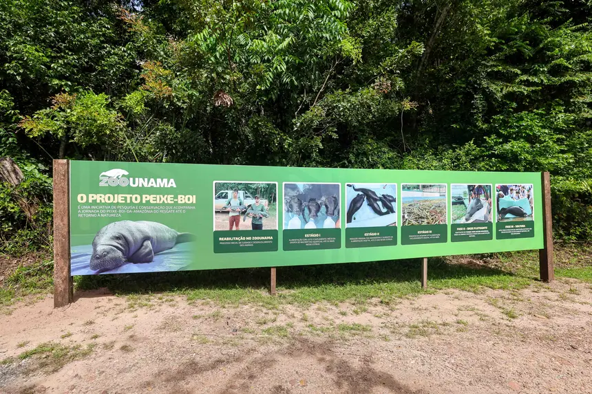  <div class='credito_fotos'>Foto: Marco Santos / Ag. Pará &nbsp;&nbsp;|&nbsp;&nbsp; <a href='/midias/2026/originais/20260324153836-GF00026636-F00503088.jpg' download><i class='fa-solid fa-download'></i> Download</a></div>