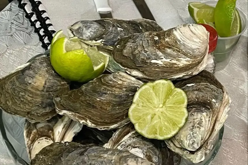 As ostras também serão ofertadas na programação em valores que variam entre 25,00 a 30,00 a dúzia. 