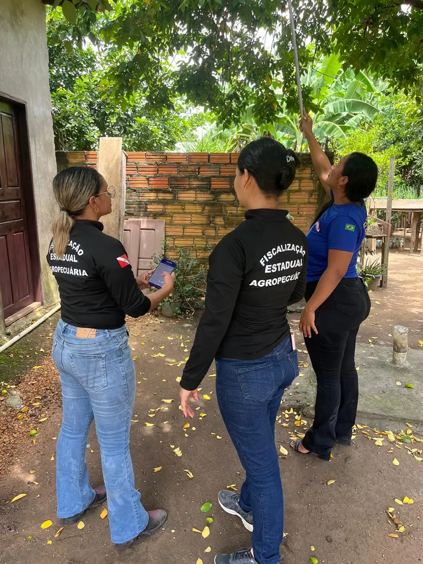 Ações de campo em Juruti