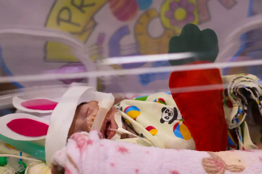 Com orelhas de coelho e cenouras, os pequenos pacientes da UTI Neonatal do HGT realizaram seu primeiro ensaio fotográfico de Páscoa