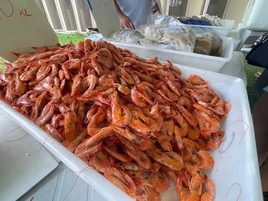 A Semana do Pescado ofertou variedade de produtos da pesca e da aquicultura