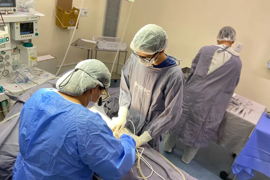 irurgiões iniciando cirurgia de captação do fígado 