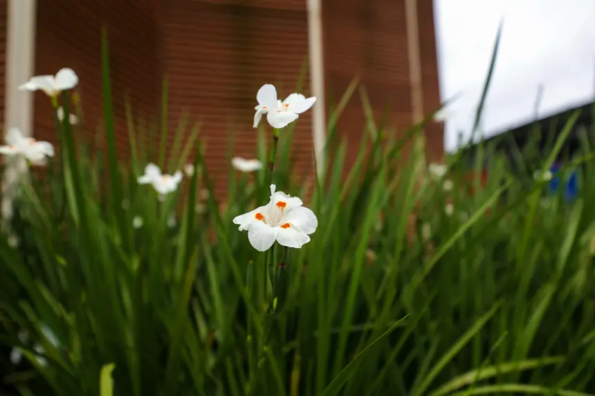  <div class='credito_fotos'>Foto: Bruno Cruz / Ag. Pará &nbsp;&nbsp;|&nbsp;&nbsp; <a href='/midias/2026/originais/20260423115033-GF00026924-F00514495.jpg' download><i class='fa-solid fa-download'></i> Download</a></div>