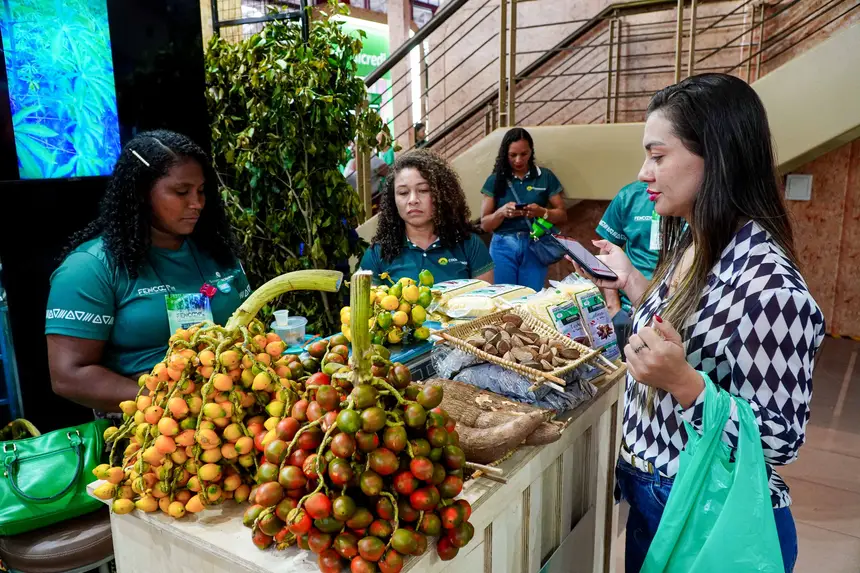  <div class='credito_fotos'>Foto: Diego Garcia / Ag. Pará &nbsp;&nbsp;|&nbsp;&nbsp; <a href='/midias/2026/originais/20260424203024-GF00026937-F00515219.jpg' download><i class='fa-solid fa-download'></i> Download</a></div>