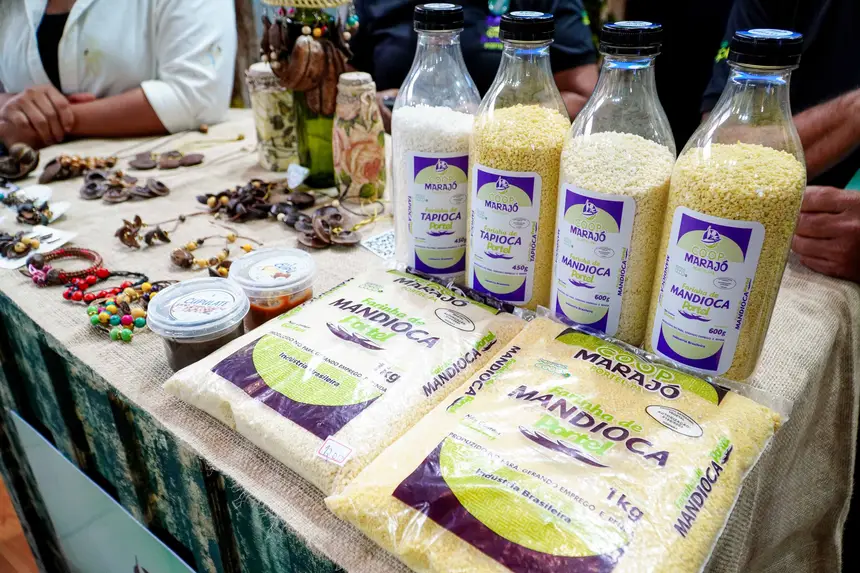  <div class='credito_fotos'>Foto: Diego Garcia / Ag. Pará &nbsp;&nbsp;|&nbsp;&nbsp; <a href='/midias/2026/originais/20260424203040-GF00026937-F00515225.jpg' download><i class='fa-solid fa-download'></i> Download</a></div>