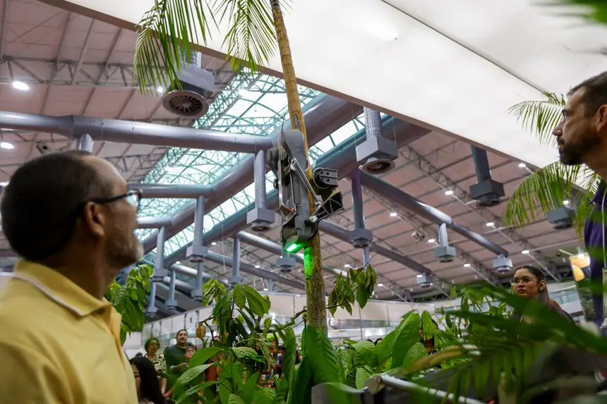  <div class='credito_fotos'>Foto: Pedro Guerreiro / Ag. Pará &nbsp;&nbsp;|&nbsp;&nbsp; <a href='/midias/2026/originais/20260425190641-GF00026947-F00515447.jpg' download><i class='fa-solid fa-download'></i> Download</a></div>