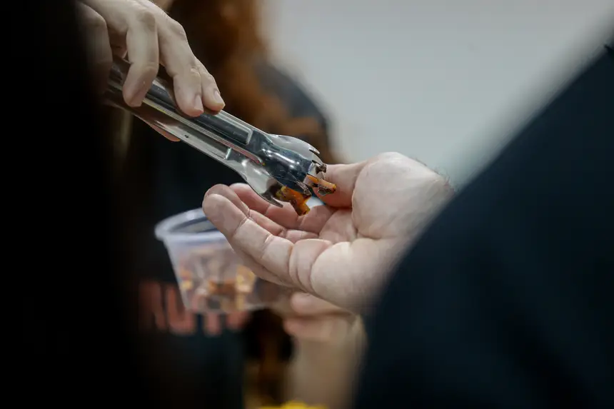  <div class='credito_fotos'>Foto: Pedro Guerreiro / Ag. Pará &nbsp;&nbsp;|&nbsp;&nbsp; <a href='/midias/2026/originais/20260425190700-GF00026947-F00515458.jpg' download><i class='fa-solid fa-download'></i> Download</a></div>