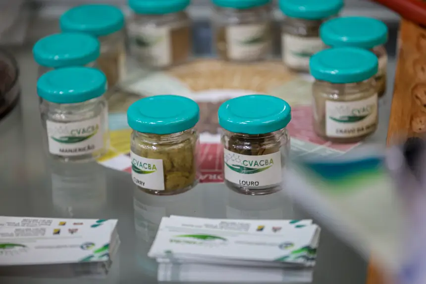  <div class='credito_fotos'>Foto: Pedro Guerreiro / Ag. Pará &nbsp;&nbsp;|&nbsp;&nbsp; <a href='/midias/2026/originais/20260425190713-GF00026947-F00515465.jpg' download><i class='fa-solid fa-download'></i> Download</a></div>