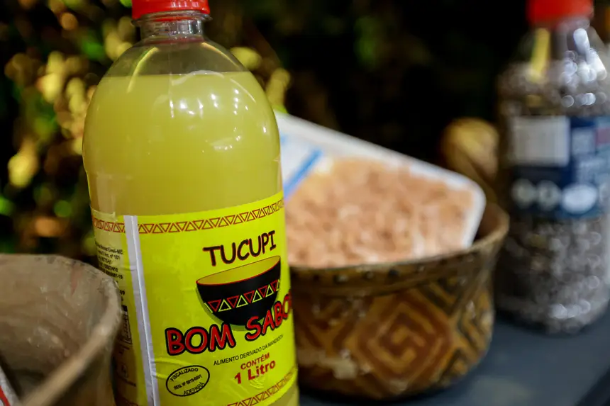  <div class='credito_fotos'>Foto: Pedro Guerreiro / Ag. Pará &nbsp;&nbsp;|&nbsp;&nbsp; <a href='/midias/2026/originais/20260426195027-GF00026950-F00515527.jpg' download><i class='fa-solid fa-download'></i> Download</a></div>