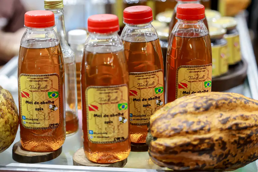  <div class='credito_fotos'>Foto: Pedro Guerreiro / Ag. Pará &nbsp;&nbsp;|&nbsp;&nbsp; <a href='/midias/2026/originais/20260426195043-GF00026950-F00515536.jpg' download><i class='fa-solid fa-download'></i> Download</a></div>