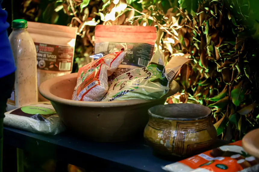  <div class='credito_fotos'>Foto: Pedro Guerreiro / Ag. Pará &nbsp;&nbsp;|&nbsp;&nbsp; <a href='/midias/2026/originais/20260426195047-GF00026950-F00515538.jpg' download><i class='fa-solid fa-download'></i> Download</a></div>